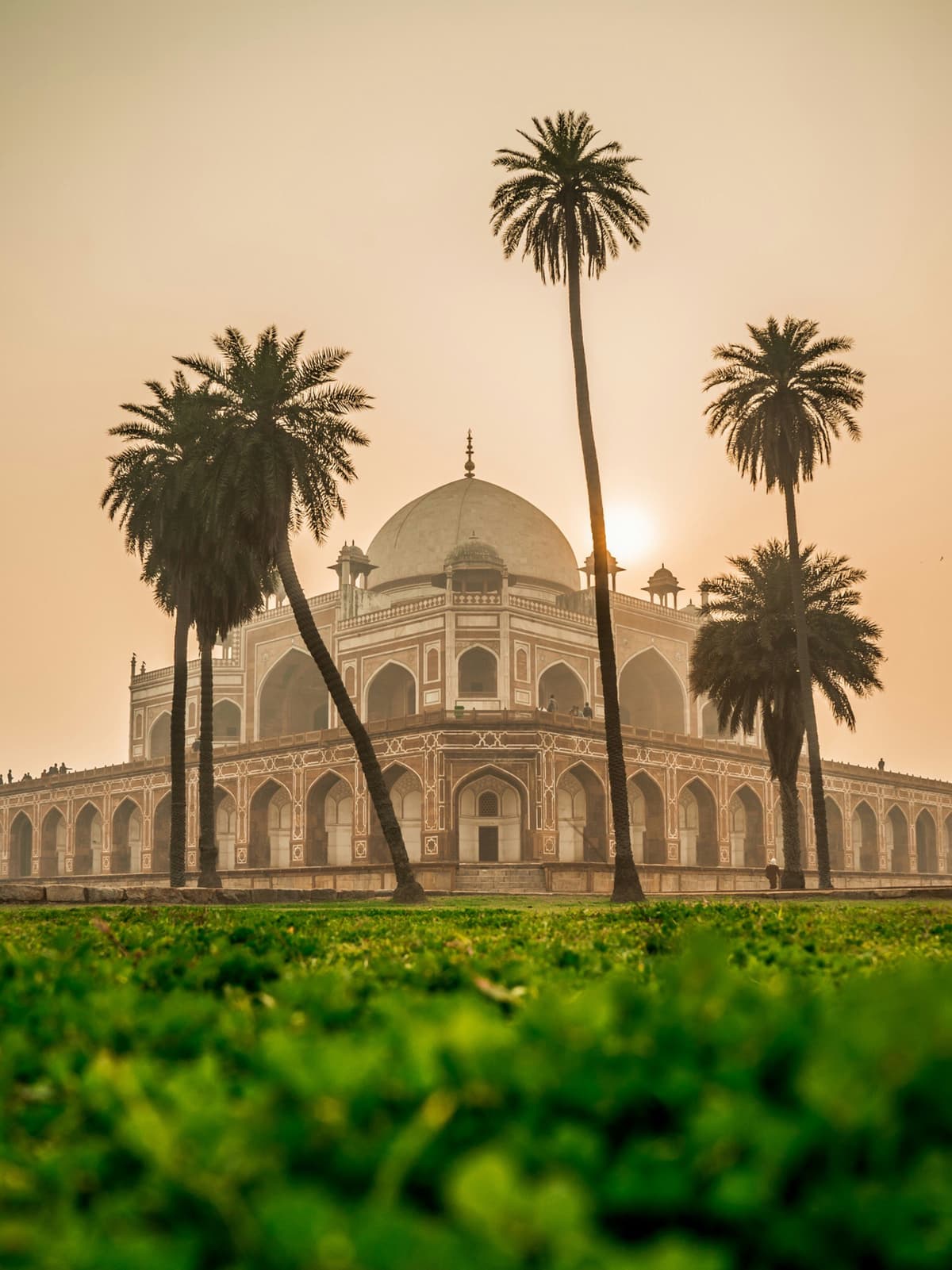 New Dehli